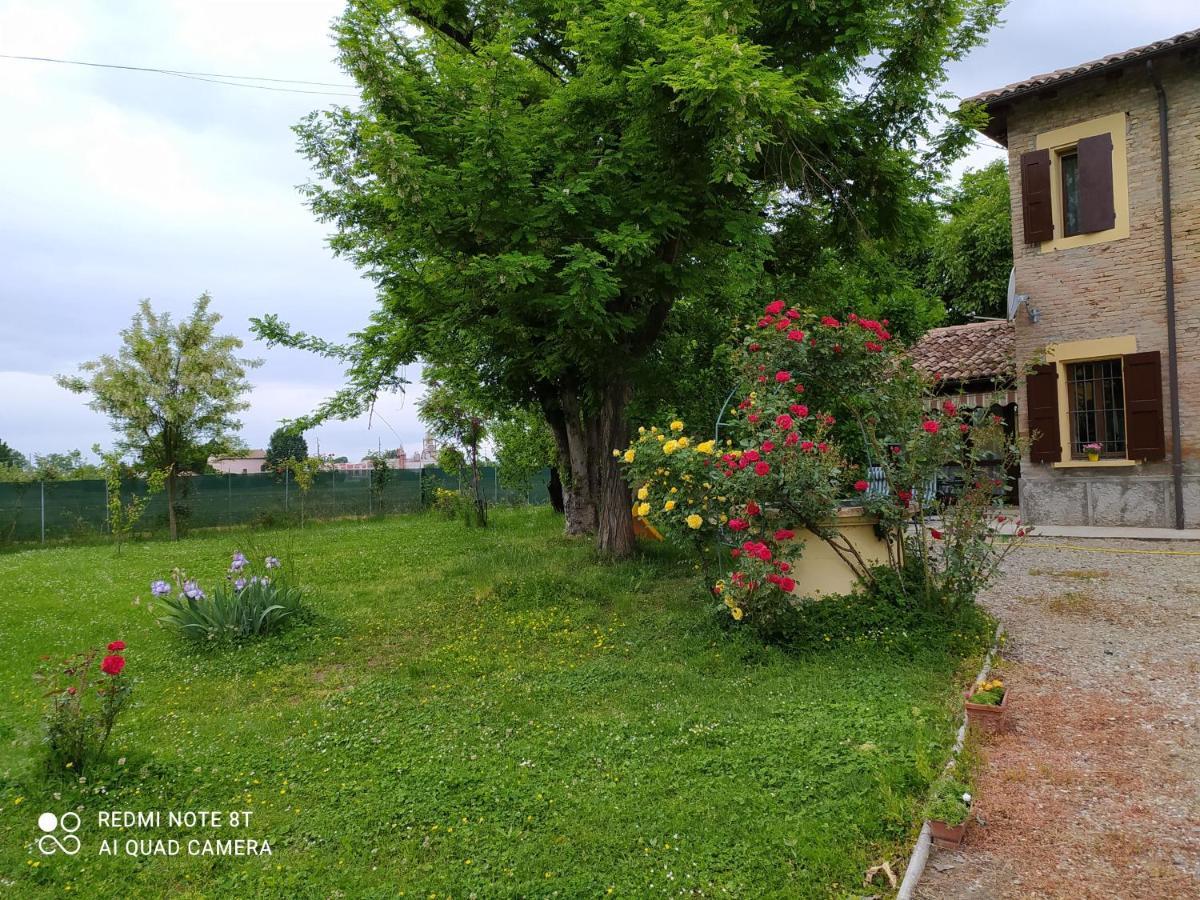La Rosa Selvatica Bed & Breakfast Ravarino Exterior photo
