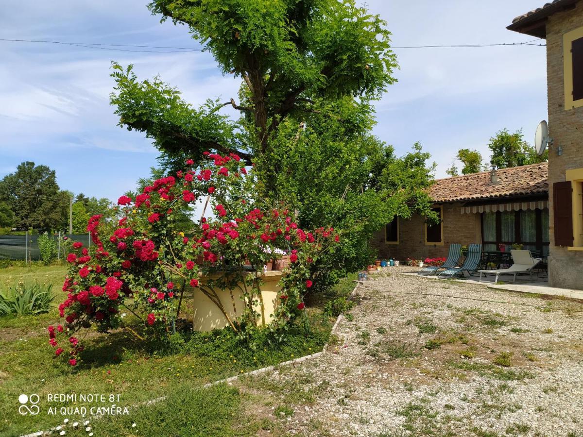 La Rosa Selvatica Bed & Breakfast Ravarino Exterior photo