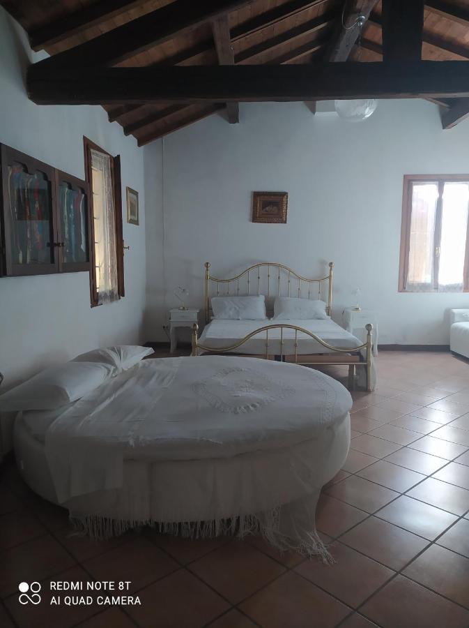 La Rosa Selvatica Bed & Breakfast Ravarino Exterior photo